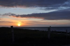 sonnenuntergangputtgarden